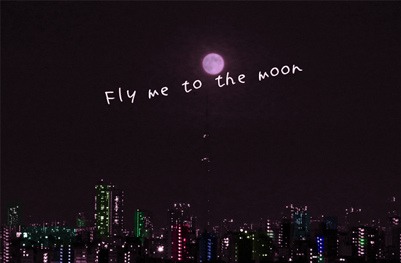 fly me to the moon1R0151540のコピー.jpg